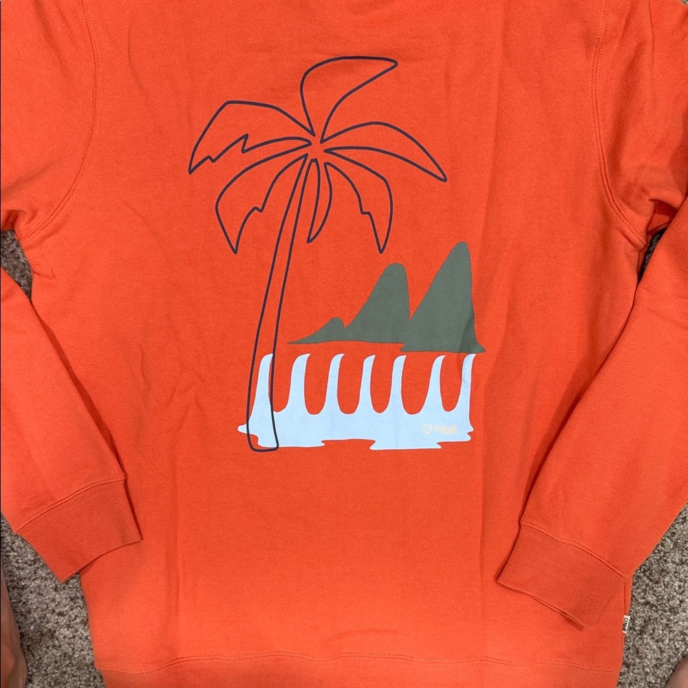 O'Neill Men's Vibrant Orange Hoodie